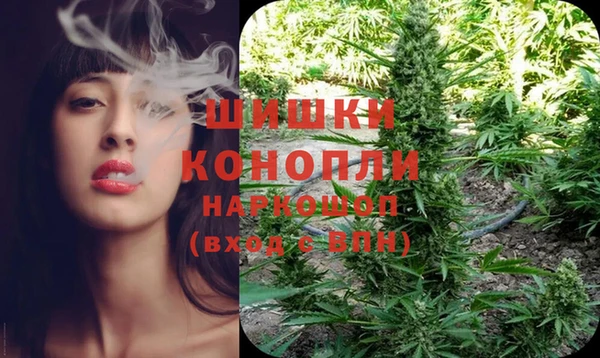 твердый Ладушкин