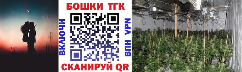 Конопля VHQ  Купить где  Облучье 